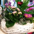 20170209_175134