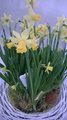 WP_20160403_19_53_16_Pro