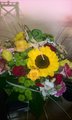 WP_20150920_12_50_12_Pro(1)