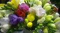 WP_20150305_19_45_37_Pro