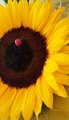 20160916_133354aaa