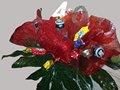 20150306052a